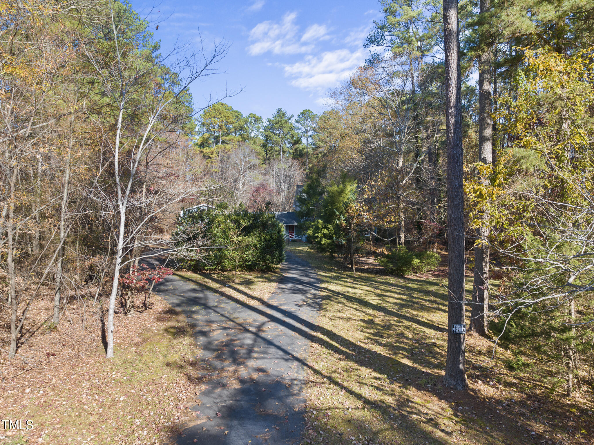 12012 Strickland Road Raleigh, NC 27613 - Photo 9 of 45 a view of a yard with plants and trees