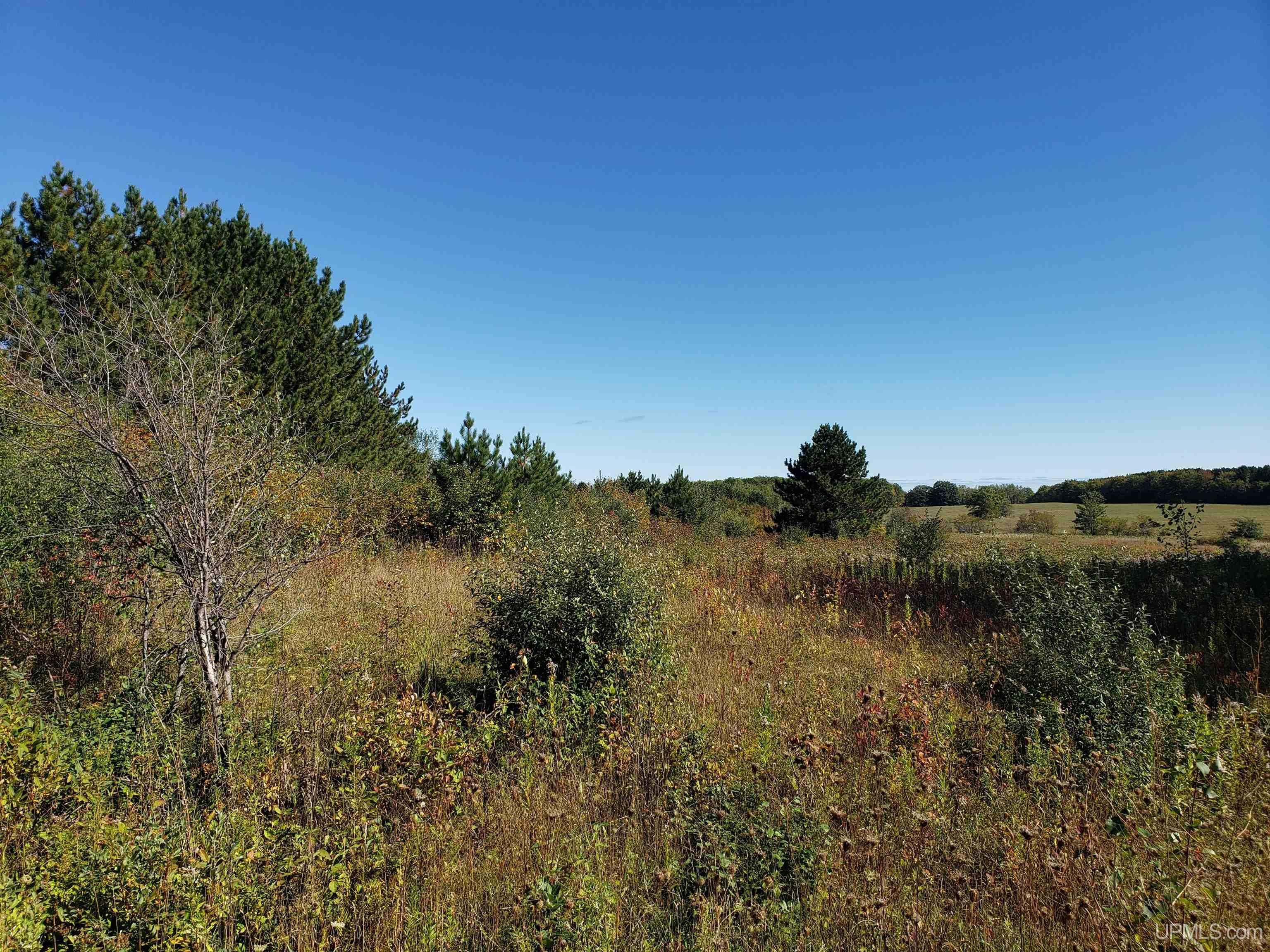 P2 Paradise Road Chassell, MI 49916 - Photo 17 of 22
