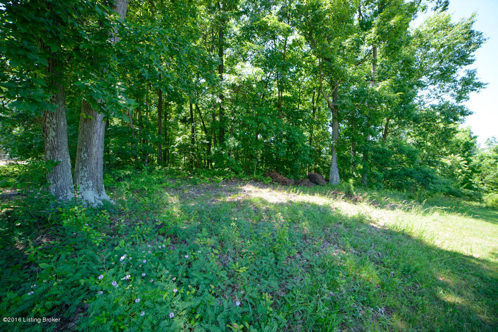 1913 Grand Ridge Road Louisville, KY 40214 - Photo 62 of 64 wooded yard