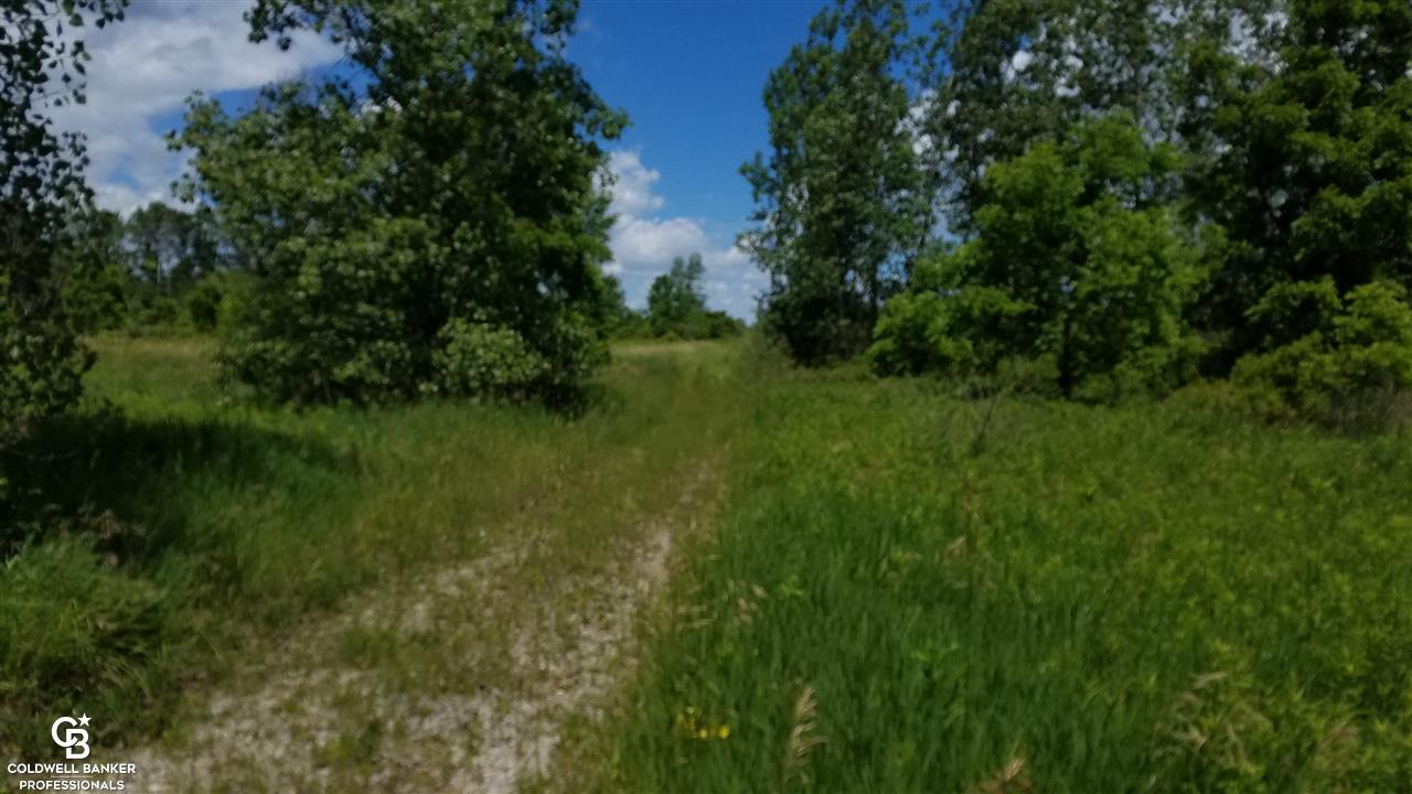 14183 Turner Road Yale, MI 48097 - Photo 12 of 14