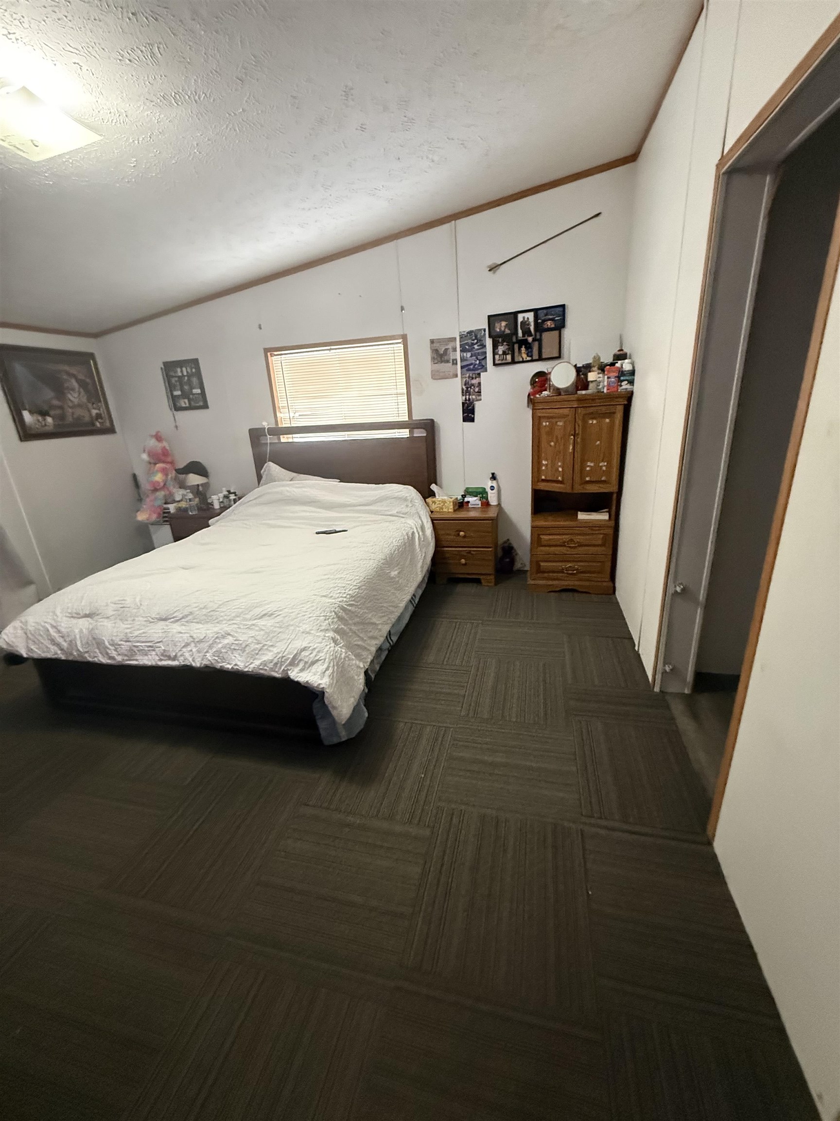 N9476 Sweetheart City Road Wausaukee, WI 54177 - Photo 7 of 29