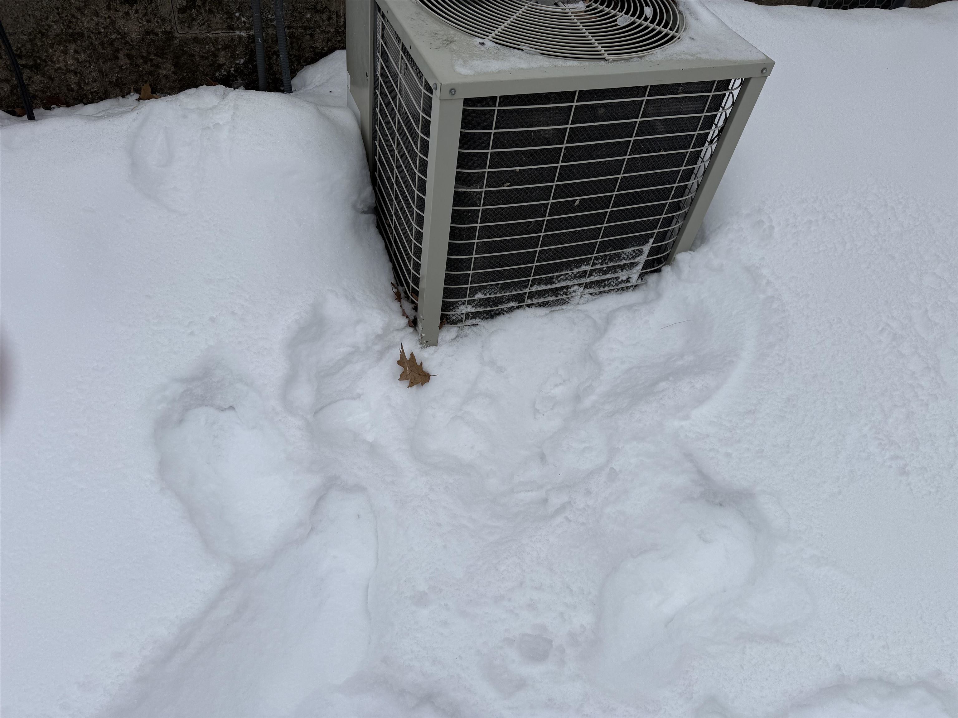 N9476 Sweetheart City Road Wausaukee, WI 54177 - Photo 10 of 29