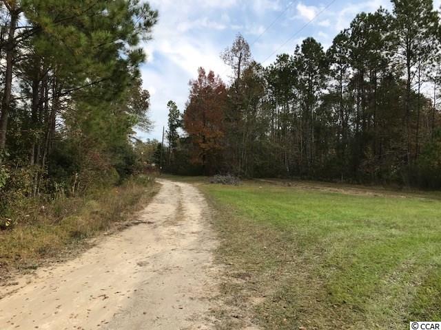 1443 Cane Branch Road Loris, SC 29569 - Photo 11 of 16 Gallery Image 11