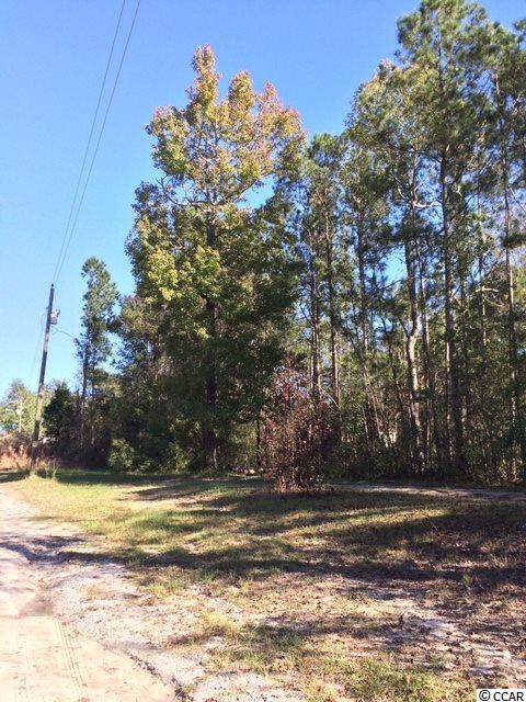 1443 Cane Branch Road Loris, SC 29569 - Photo 13 of 16 Gallery Image 13