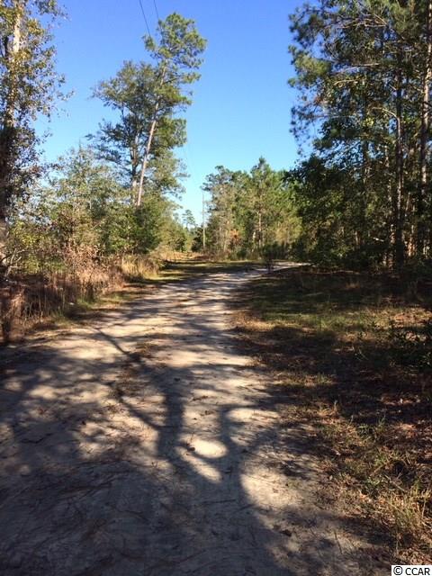 1443 Cane Branch Road Loris, SC 29569 - Photo 14 of 16 Gallery Image 14