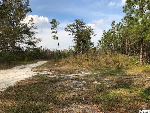 1443 Cane Branch Road Loris, SC 29569 - Photo 15 of 16 Gallery Image 15