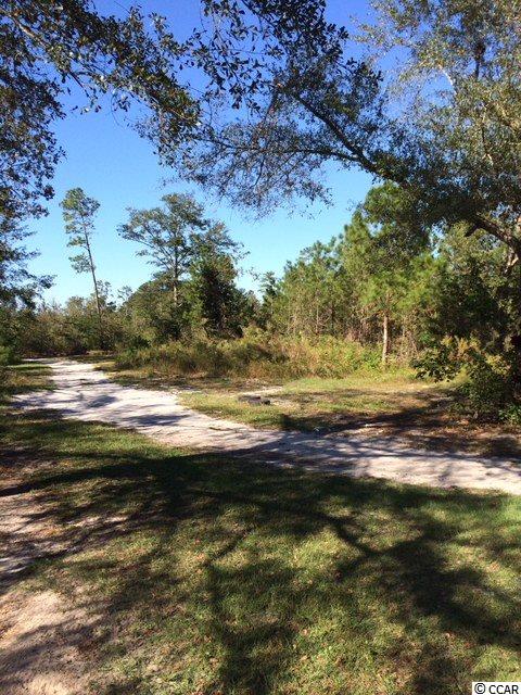 1443 Cane Branch Road Loris, SC 29569 - Photo 16 of 16 Gallery Image 16