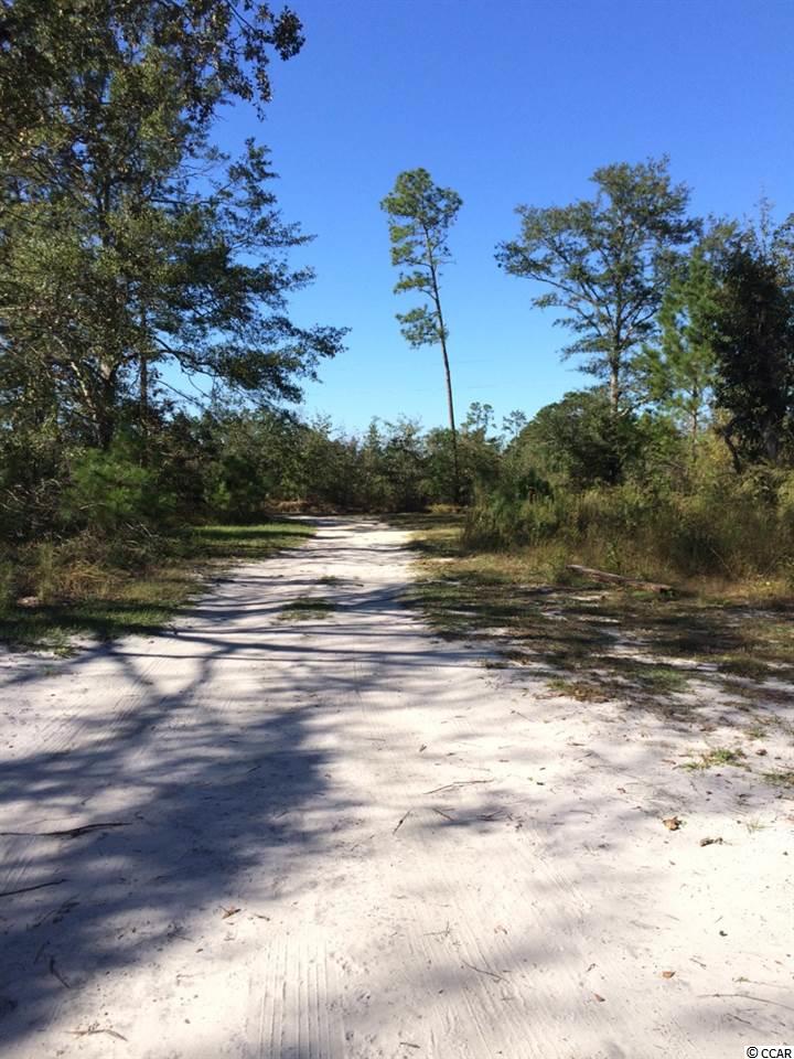 1443 Cane Branch Road Loris, SC 29569 - Photo 5 of 16 Gallery Image 5