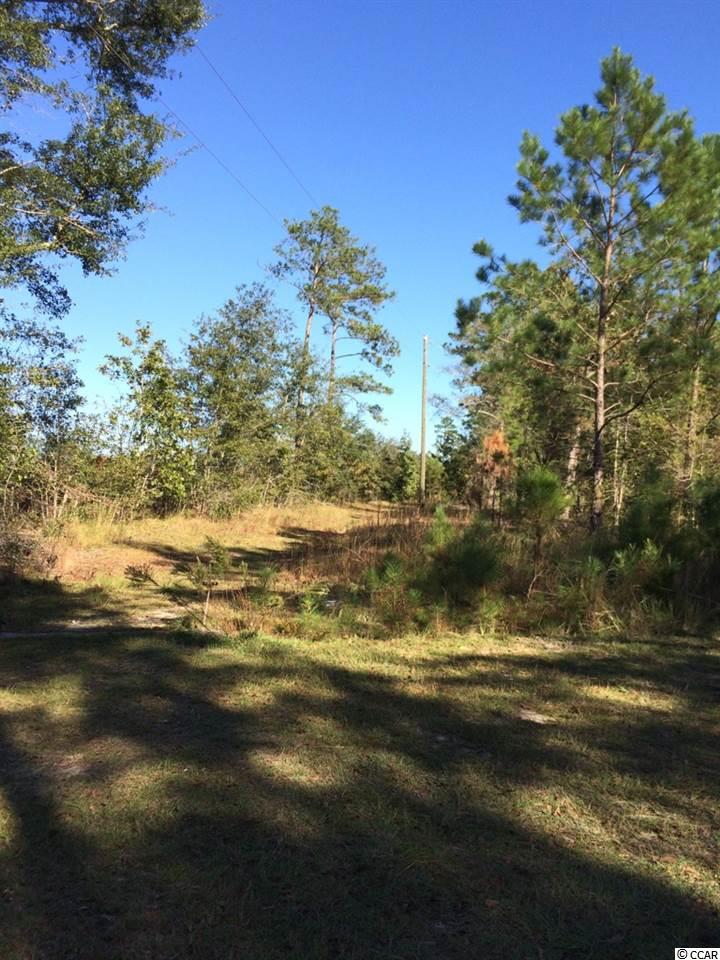 1443 Cane Branch Road Loris, SC 29569 - Photo 7 of 16 Gallery Image 7