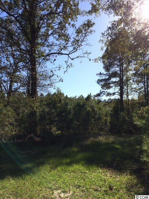 1443 Cane Branch Road Loris, SC 29569 - Photo 8 of 16 Gallery Image 8
