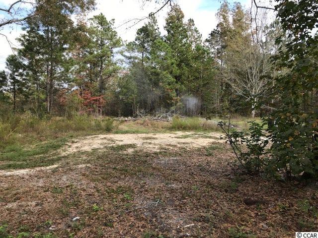 1443 Cane Branch Road Loris, SC 29569 - Photo 9 of 16 Gallery Image 9
