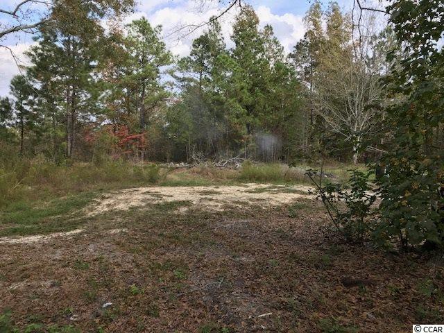1443 Cane Branch Road Loris, SC 29569 - Photo 10 of 16 Gallery Image 10