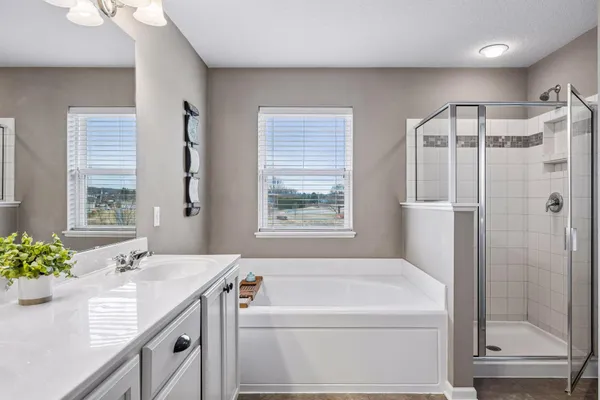 $685,000 | 6920 Joliet Avenue South, Cottage Grove, MN 55016