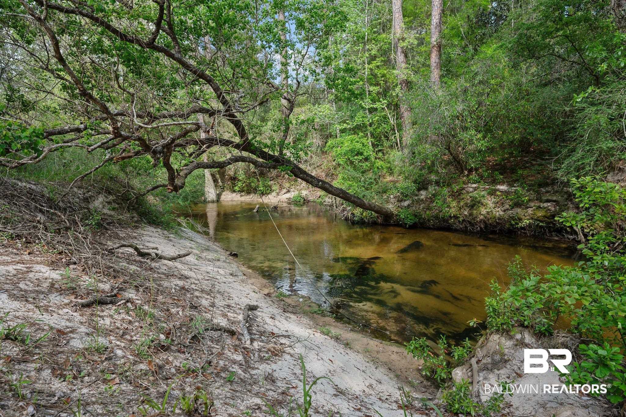 22800 River Road South Daphne, AL 36526 - Photo 8 of 52