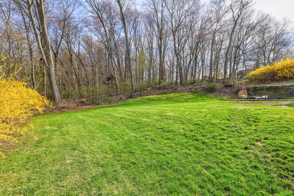6 Lerner Drive Dudley, MA 01571 - Photo 4 of 22 a view of backyard with tree
