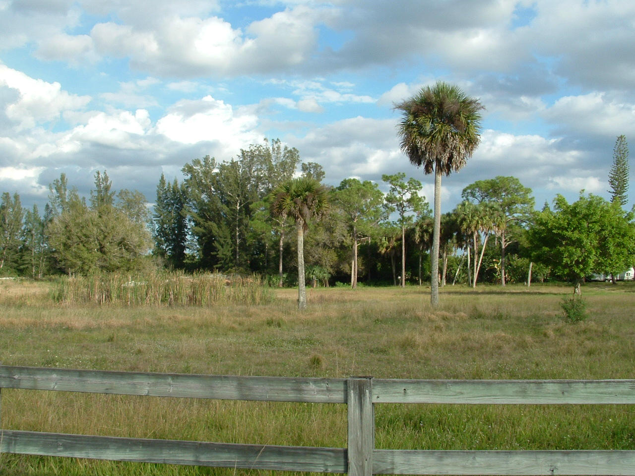 3772 D Road Loxahatchee, FL 33470 - Photo 3 of 17 3772 D Rd 003