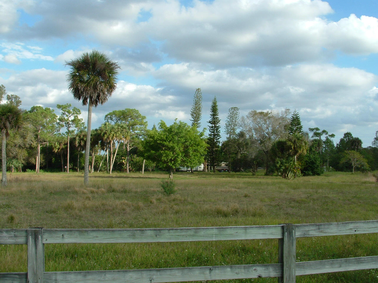 3772 D Road Loxahatchee, FL 33470 - Photo 4 of 17 3772 D Rd 004