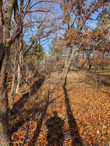 $7,500 | L221 Black Forest Drive, La Valle, WI 53941