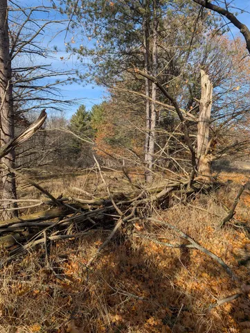 $7,500 | L221 Black Forest Drive, La Valle, WI 53941