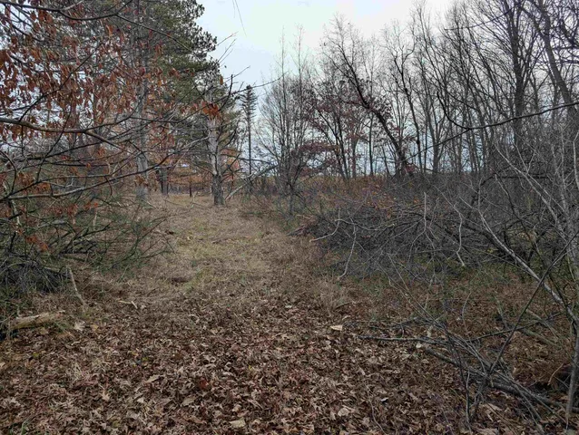 $7,500 | L221 Black Forest Drive, La Valle, WI 53941