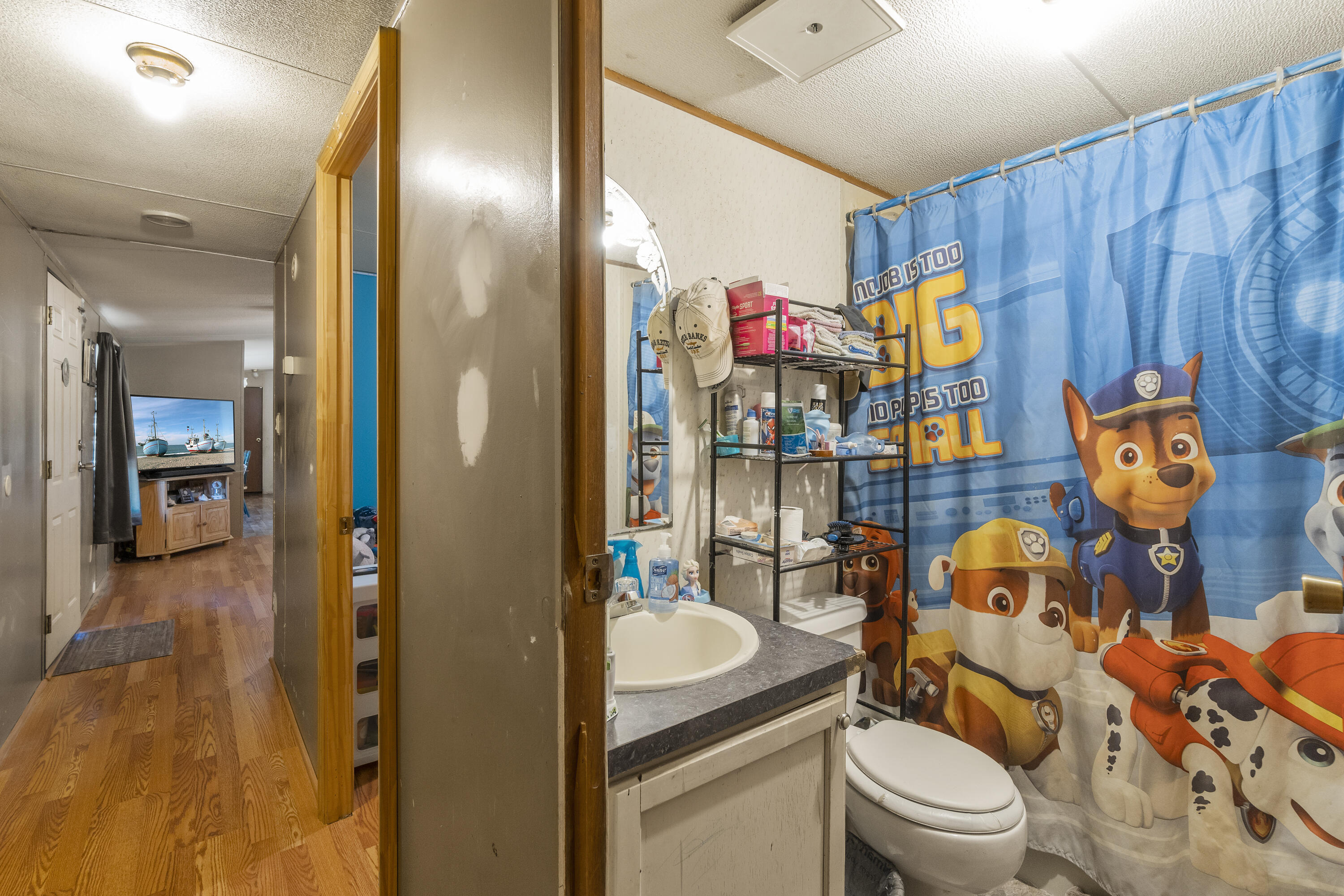 771 Chuckey Pike Chuckey, TN 37641 - Photo 19 of 29 DSC07814