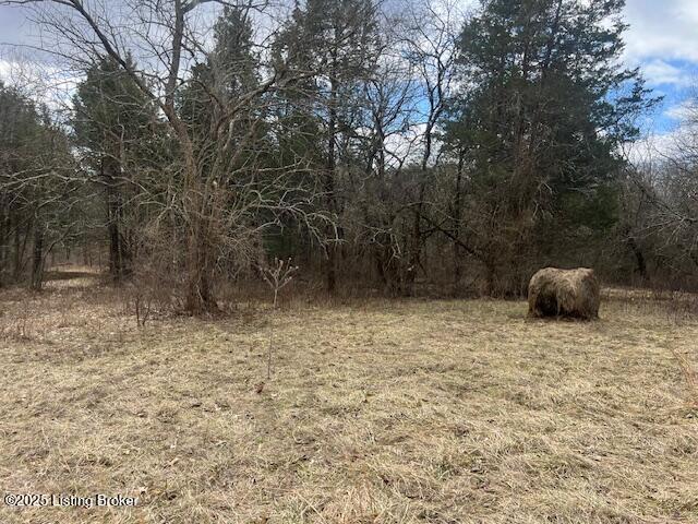 1180 C Pattons Creek Road Pendleton, KY 40055 - Photo 12 of 20 image007