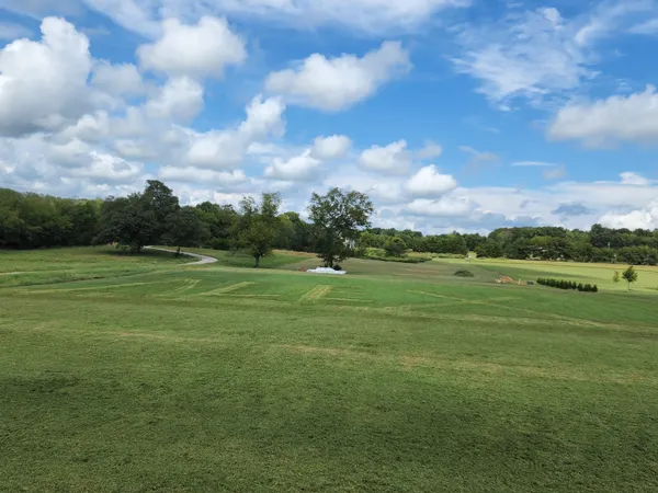 a view of a field with an trees in the background
