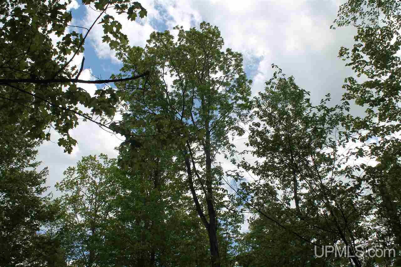 Tbd Off Kyllonen Road, Unit LAT 46 75685 LON 88 7526 Nisula, MI 49952 - Photo 15 of 24