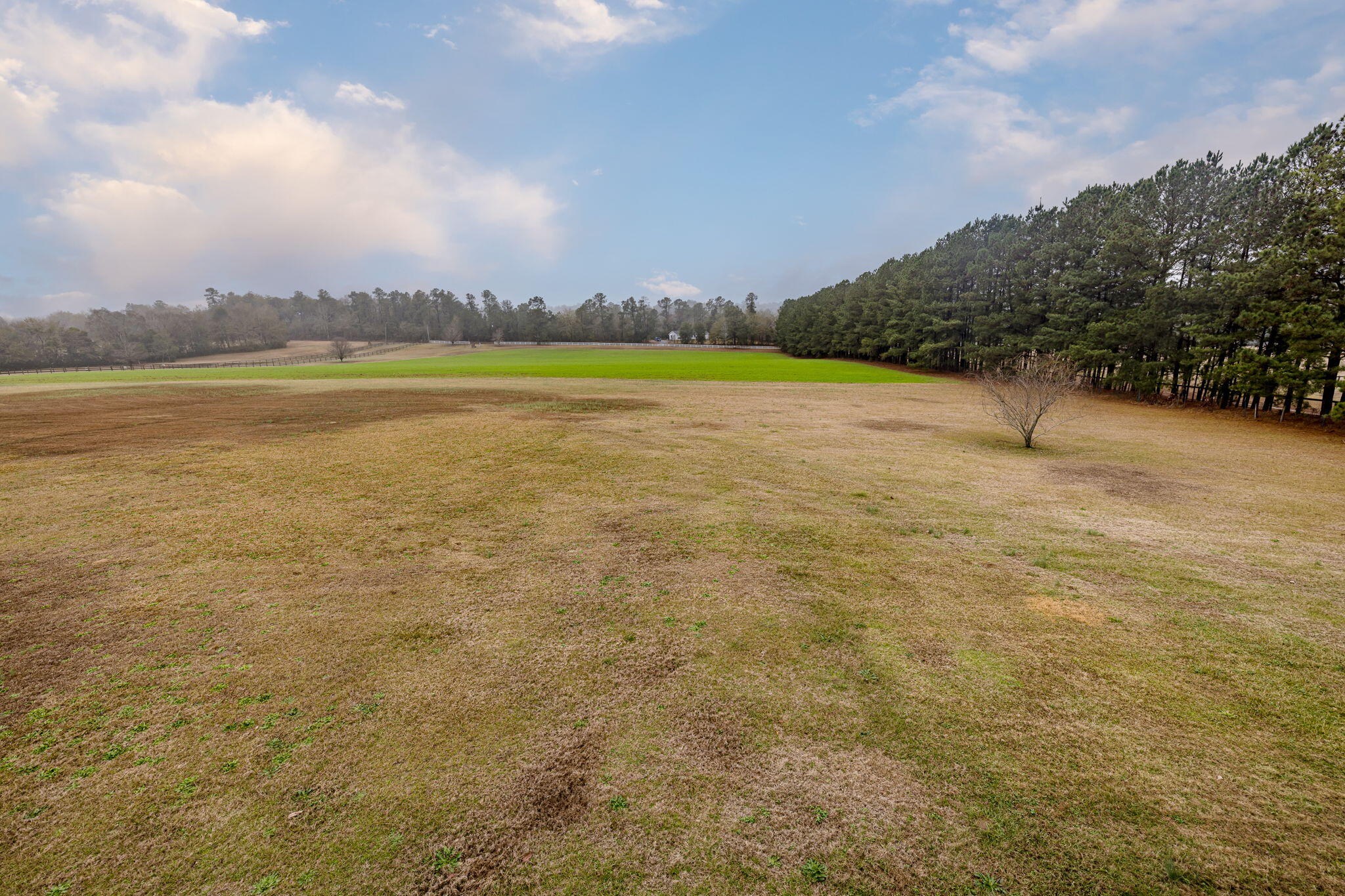 2061 Gray Mare Hollow Road Aiken, SC 29803 - Photo 38 of 82