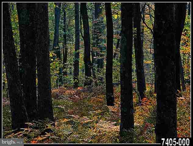 0 West Ridge Road Dillsburg, PA 17019 - Photo 1 of 1 Gallery Image 1