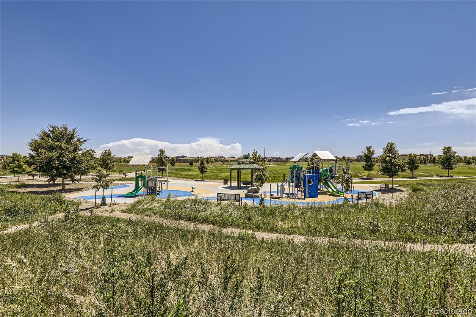1987 South Gold Bug Way Aurora, CO 80018 - Photo 18 of 18 a view of a lake with lawn chairs and large trees