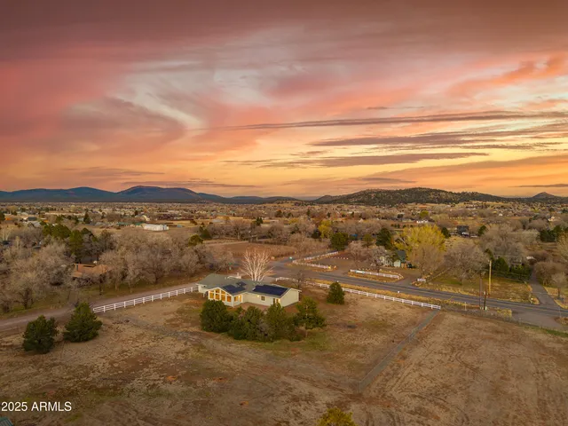 a view of a house with a large tree in front of it