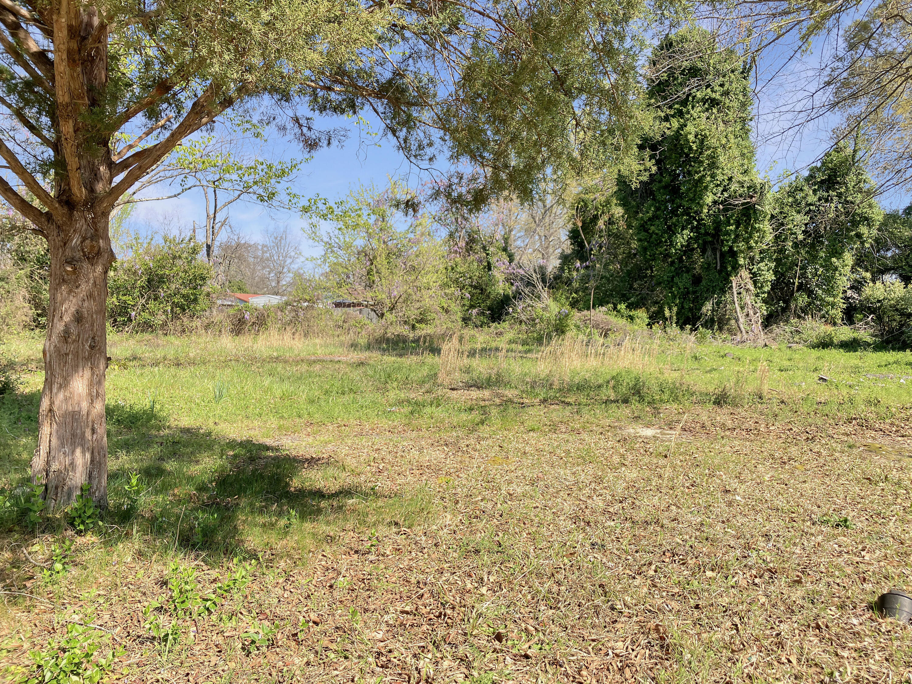 cfef410b5c1e82325c9953332160df67738287d2