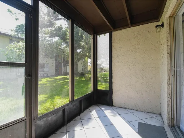 a view of backyard from window