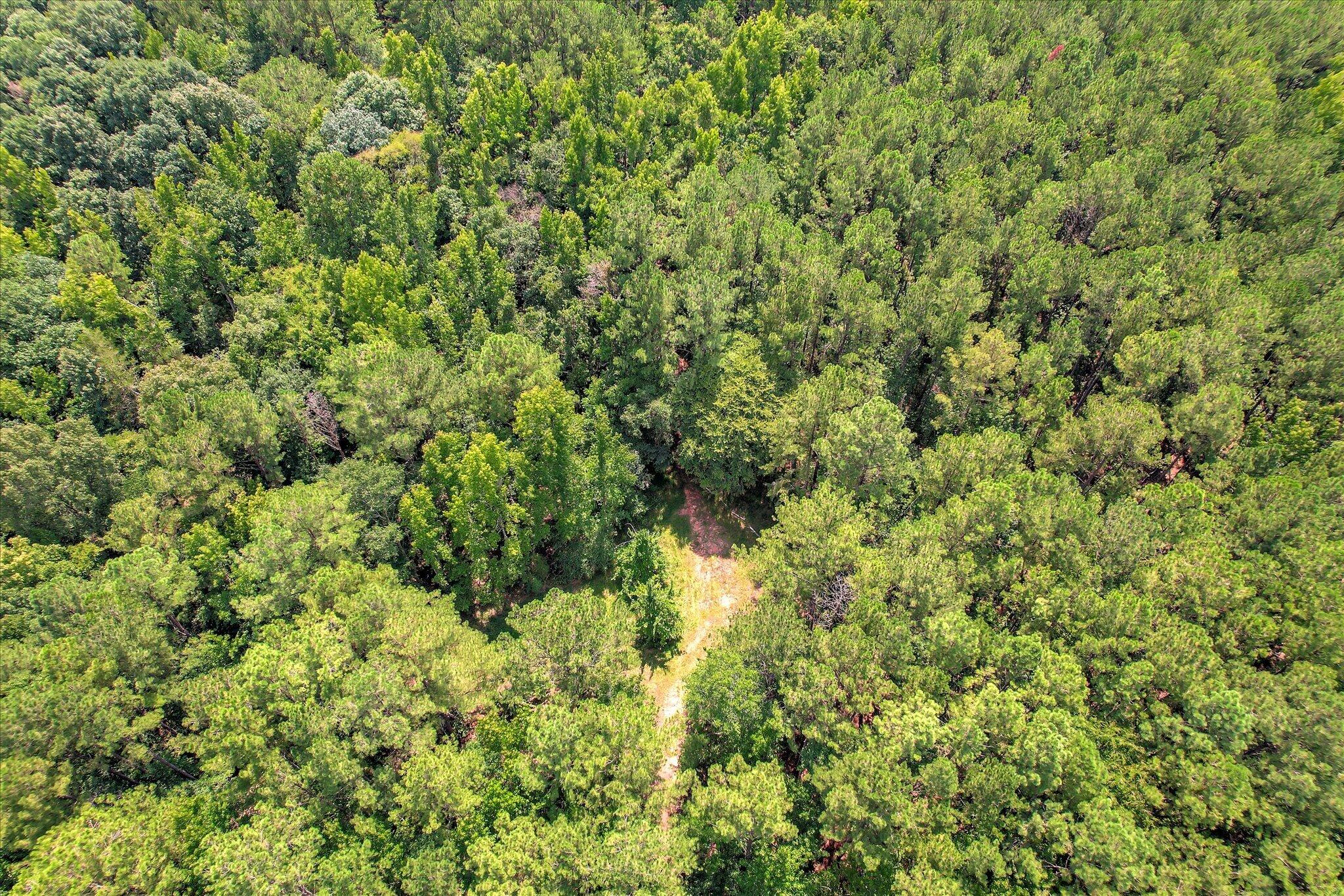 157 Promised Land Road Edgefield, SC 29824 - Photo 17 of 23 Gallery Image 17