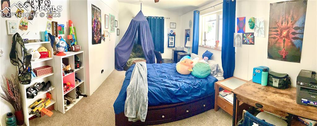 8715 Chipita Park Road Cascade, CO 80809 - Photo 12 of 25