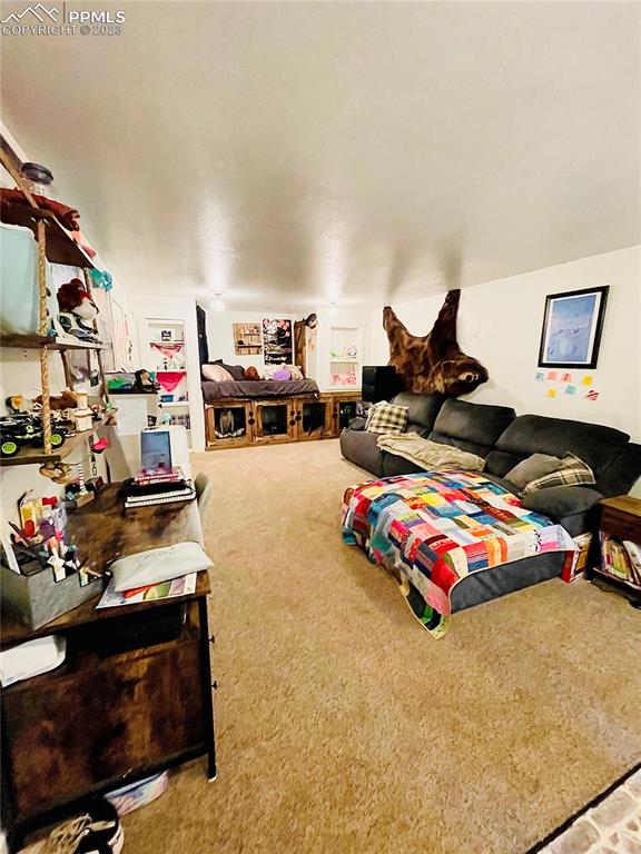 8715 Chipita Park Road Cascade, CO 80809 - Photo 7 of 25 a bedroom with furniture and a lamp