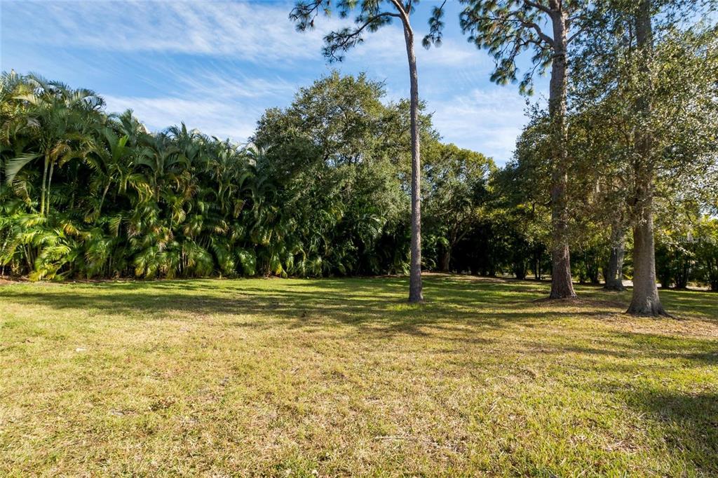 1647 Hobbit Road Dunedin, FL 34698 - Photo 3 of 36