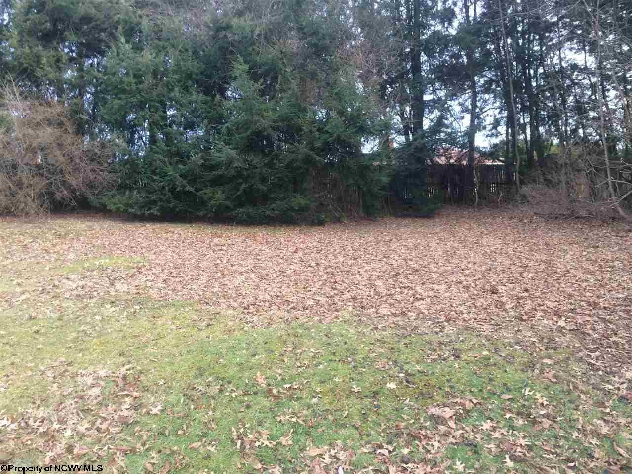 Tbd Mandan Road Clarksburg, WV 26301 - Photo 2 of 4 Gallery Image 2