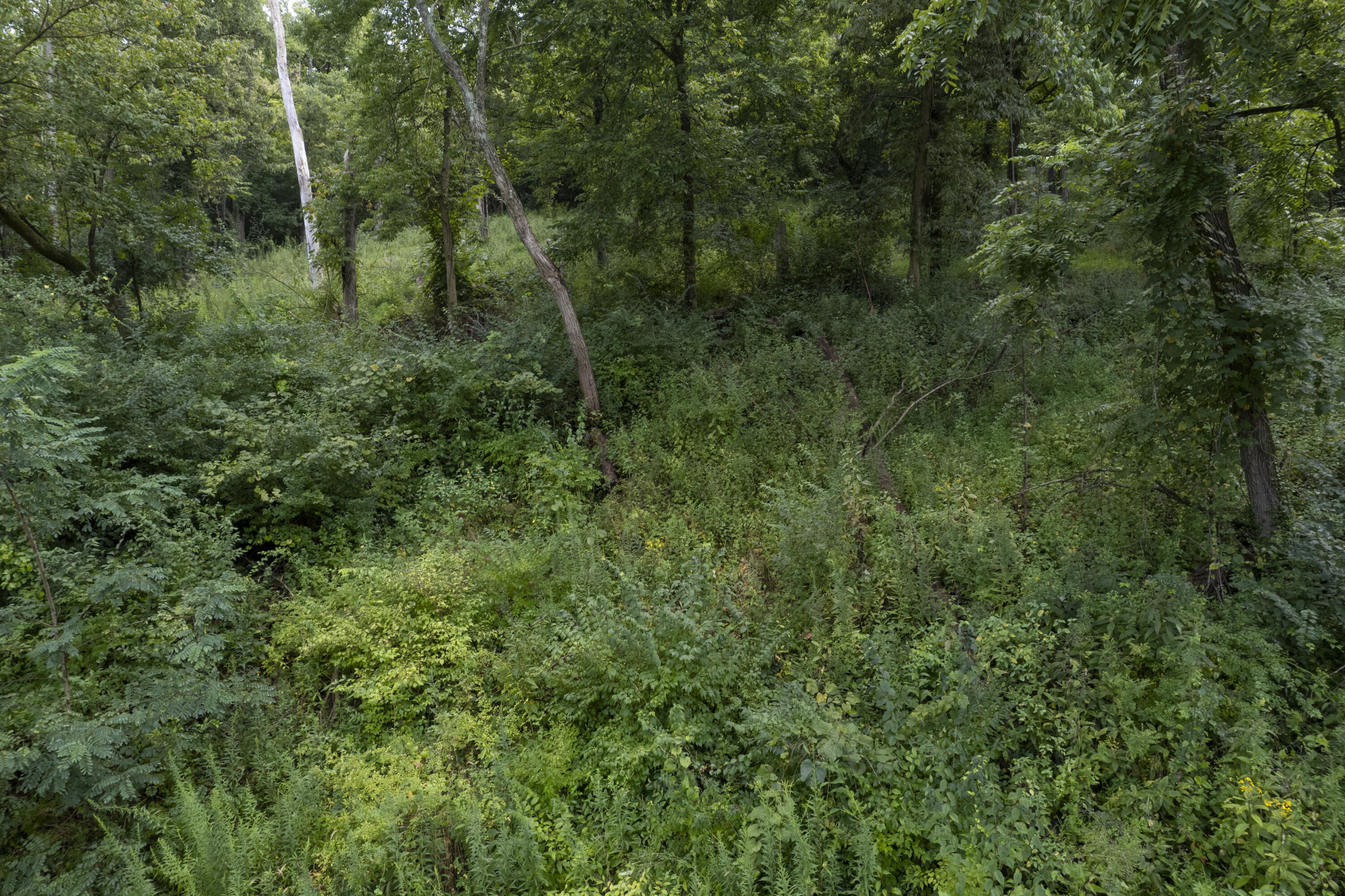 1419 Industrial Road Newport, KY 41076 - Photo 16 of 19