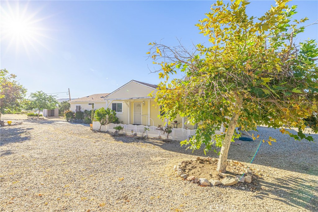 29520 Piani Road Pearblossom, CA 93553 - Photo 30 of 40 a row of palm trees in front of a house
