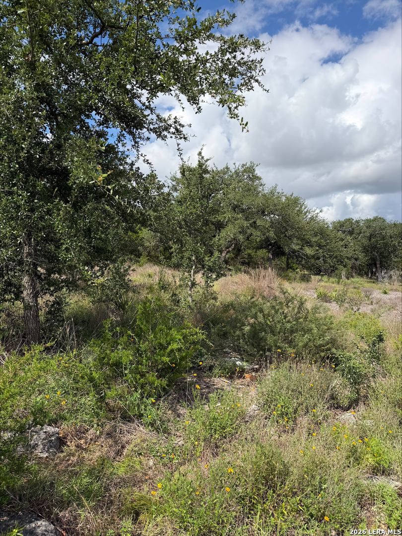 1417 Powder Ridge New Braunfels, TX 78132 - Photo 17 of 17