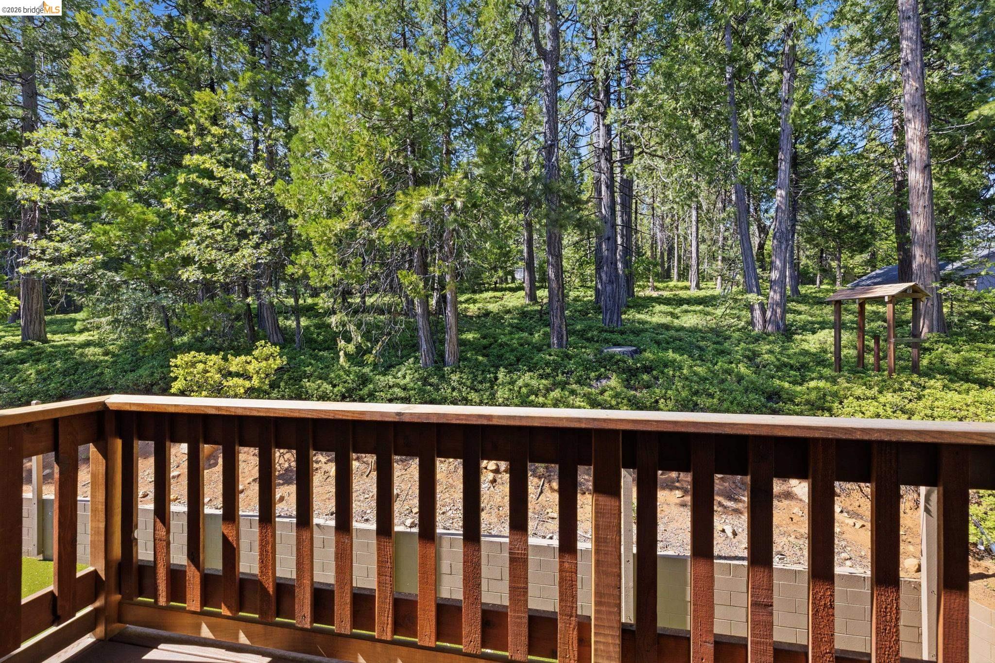 24882 Bottini Apple Ranch Road Mi Wuk Village, CA 95346 - Photo 35 of 49