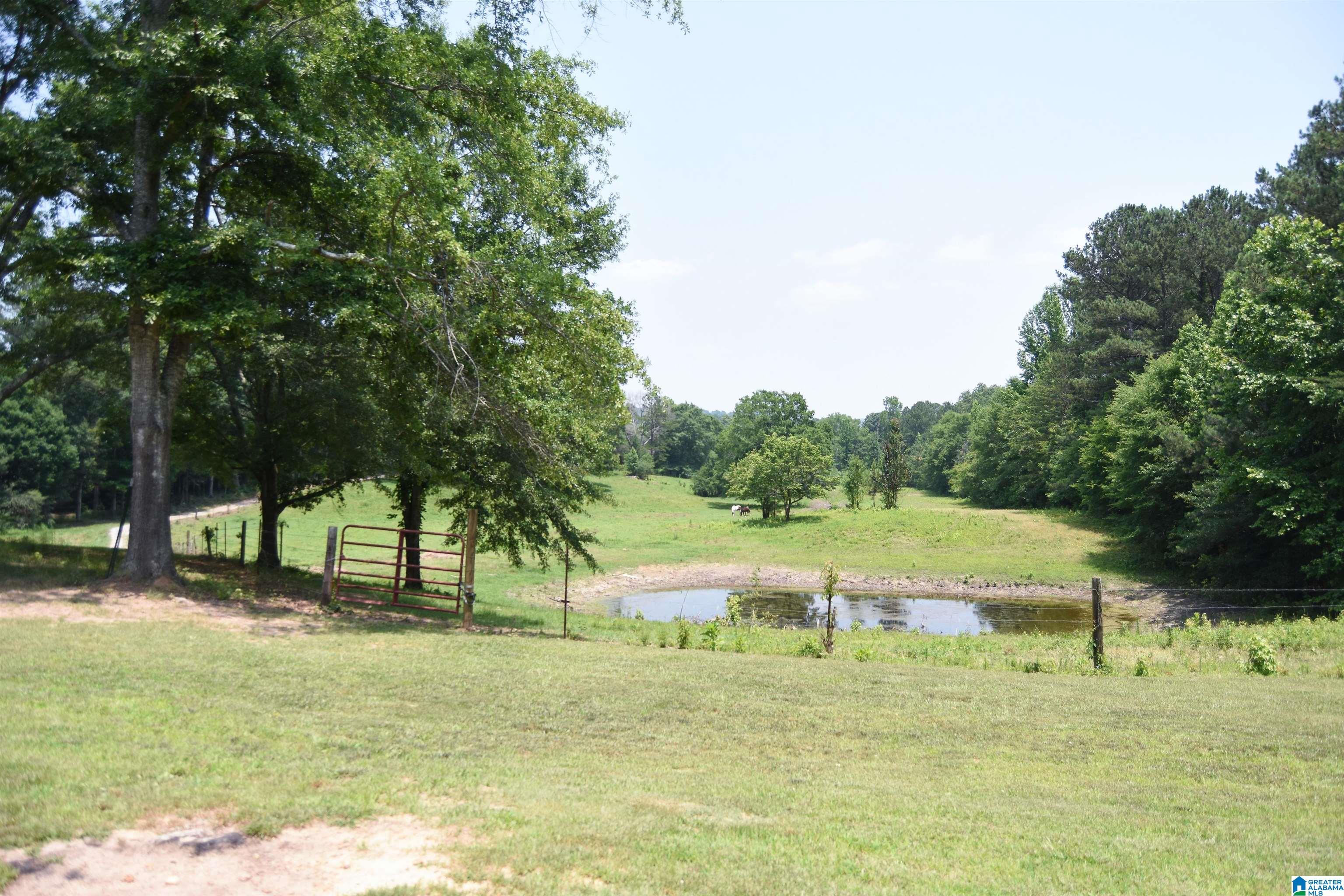 333 Shadow Lane Anniston, AL 36207 - Photo 5 of 50