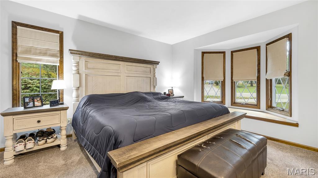 4 Shady Oak Lane Waterloo, IL 62298 - Photo 35 of 68