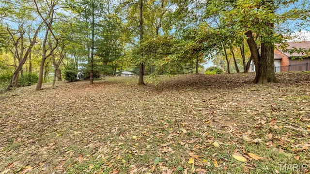 $545,000 | 4 Shady Oak Lane, Waterloo, IL 62298