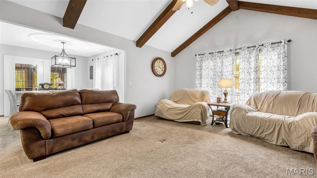 4 Shady Oak Lane Waterloo, IL 62298 - Photo 9 of 68