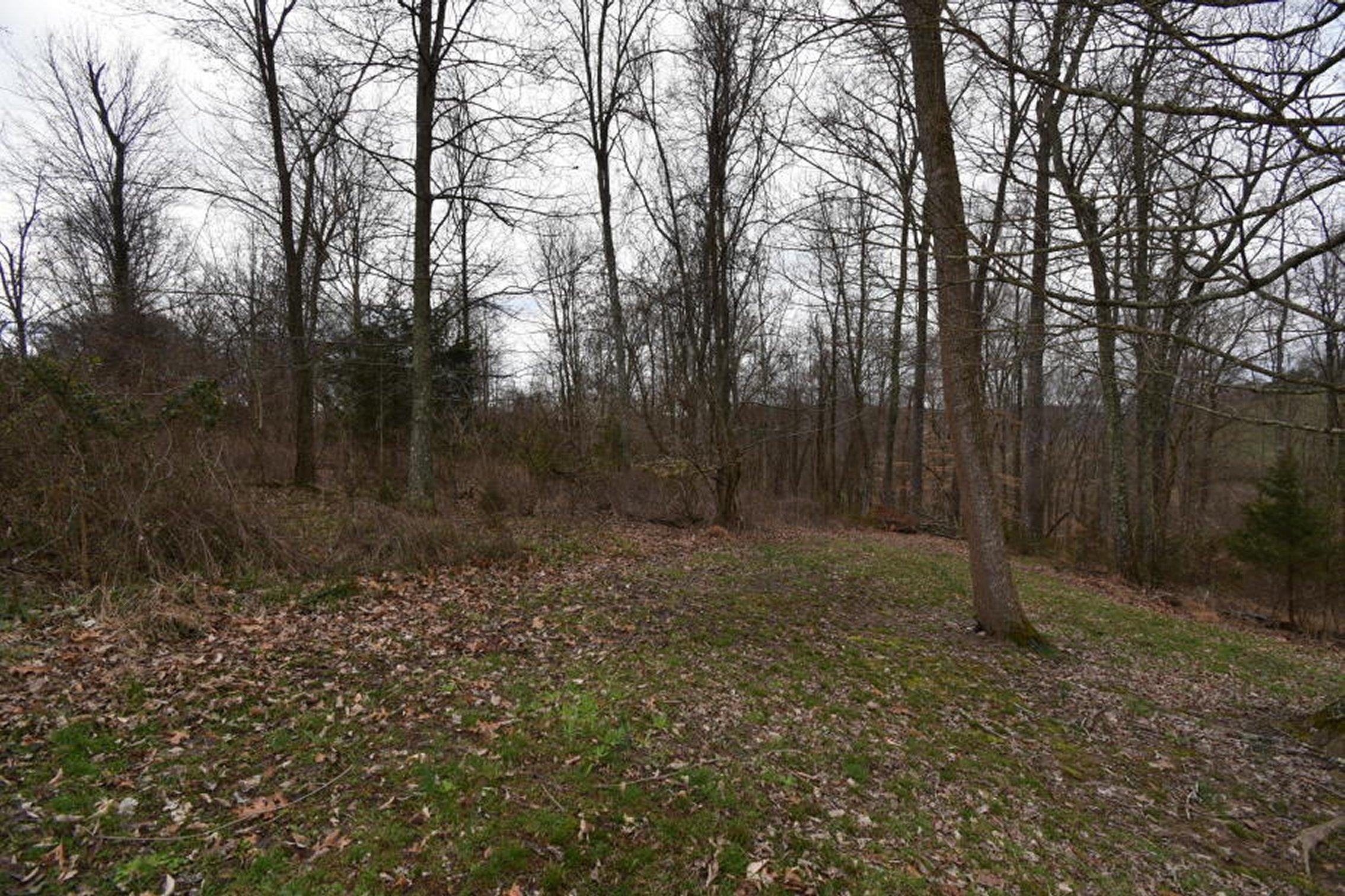 2297 Chinquipin Road Sneedville, TN 37869 - Photo 29 of 40 29