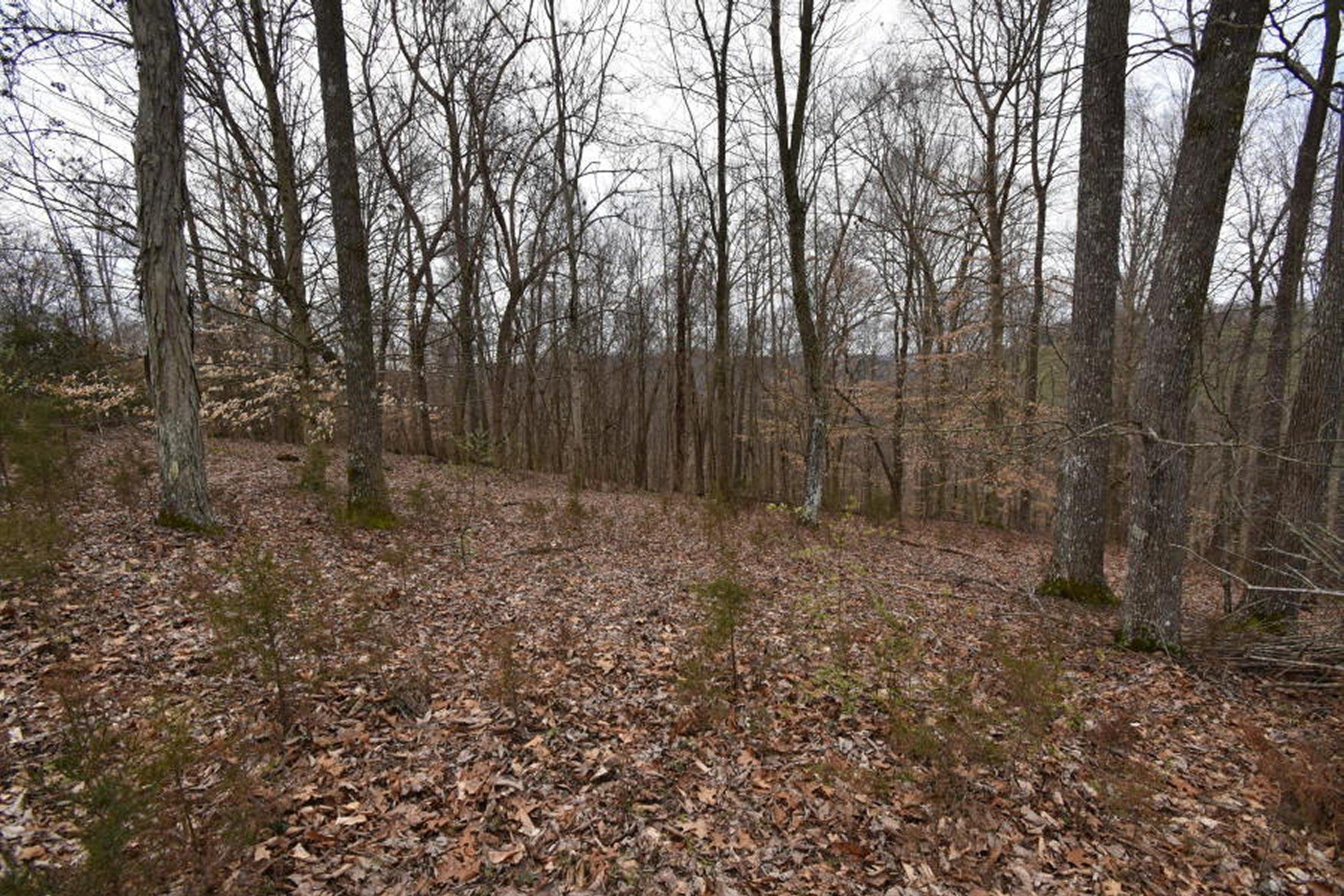 2297 Chinquipin Road Sneedville, TN 37869 - Photo 30 of 40 30