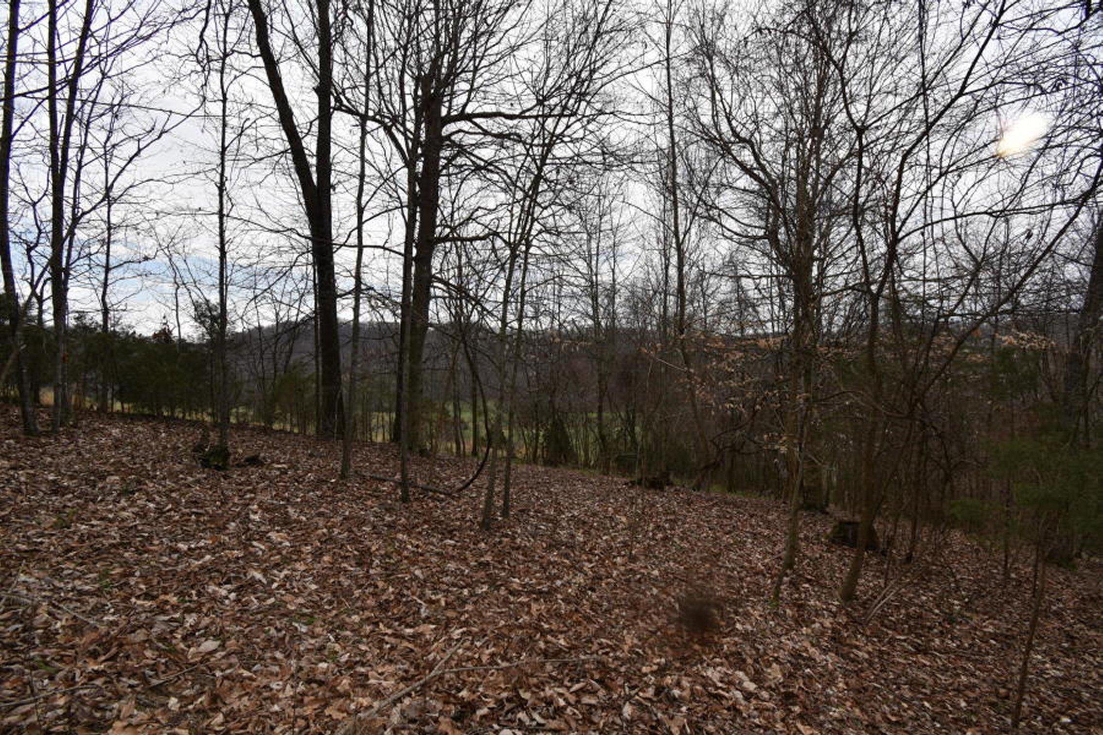 2297 Chinquipin Road Sneedville, TN 37869 - Photo 32 of 40 32